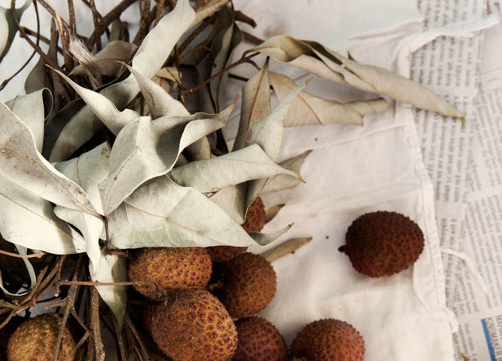 longan3